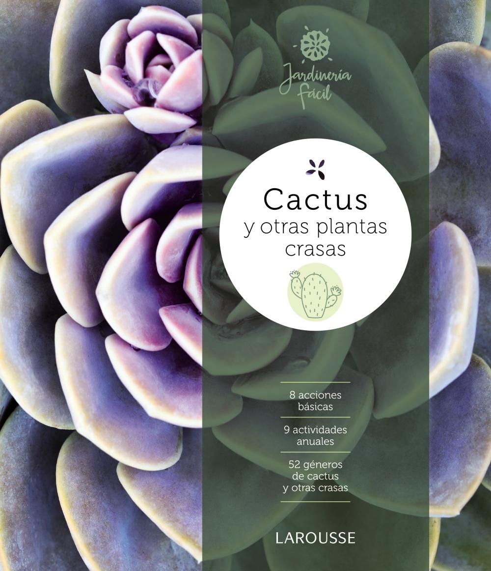 Naos Arquitectura Libros Cactus Y Otras Plantas Crasas Font